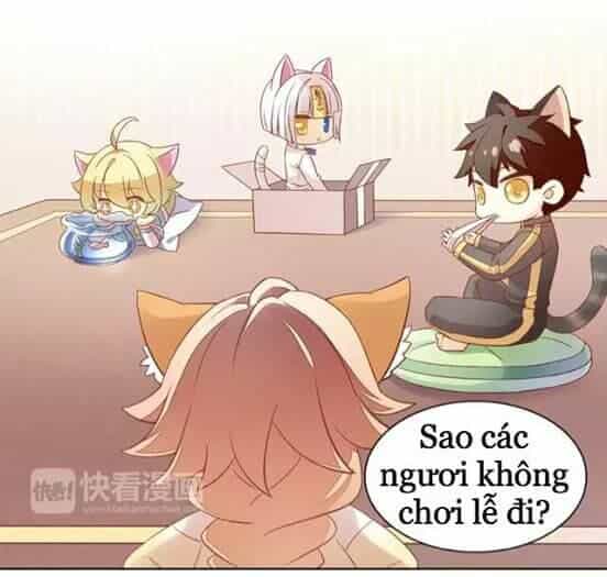 Dưới Móng Vuốt Mèo - Chương 9 - ảnh 3