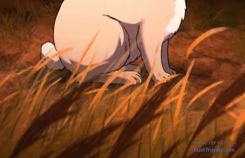 Đường Chuyền Đặc Biệt Của Tiền Vệ Thiên Tài - Chương 46 - ảnh 15