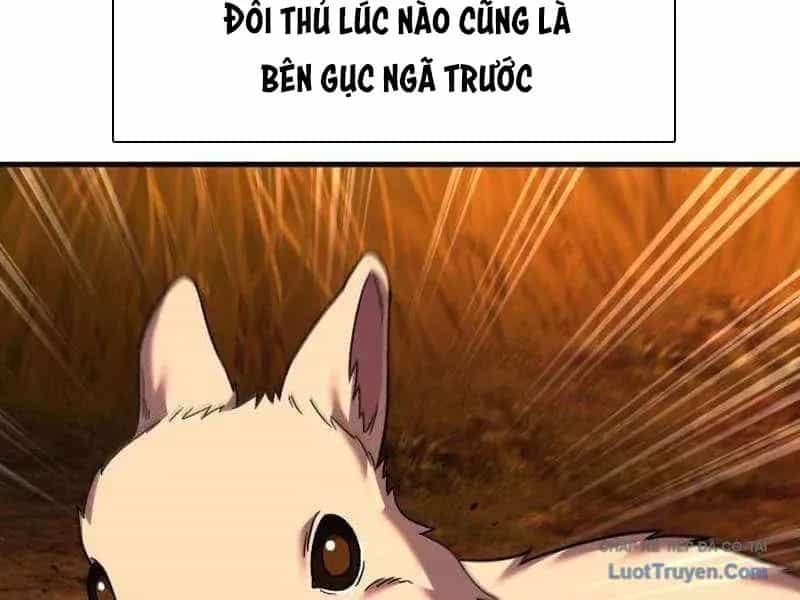 Đường Chuyền Đặc Biệt Của Tiền Vệ Thiên Tài - Chương 46 - ảnh 21