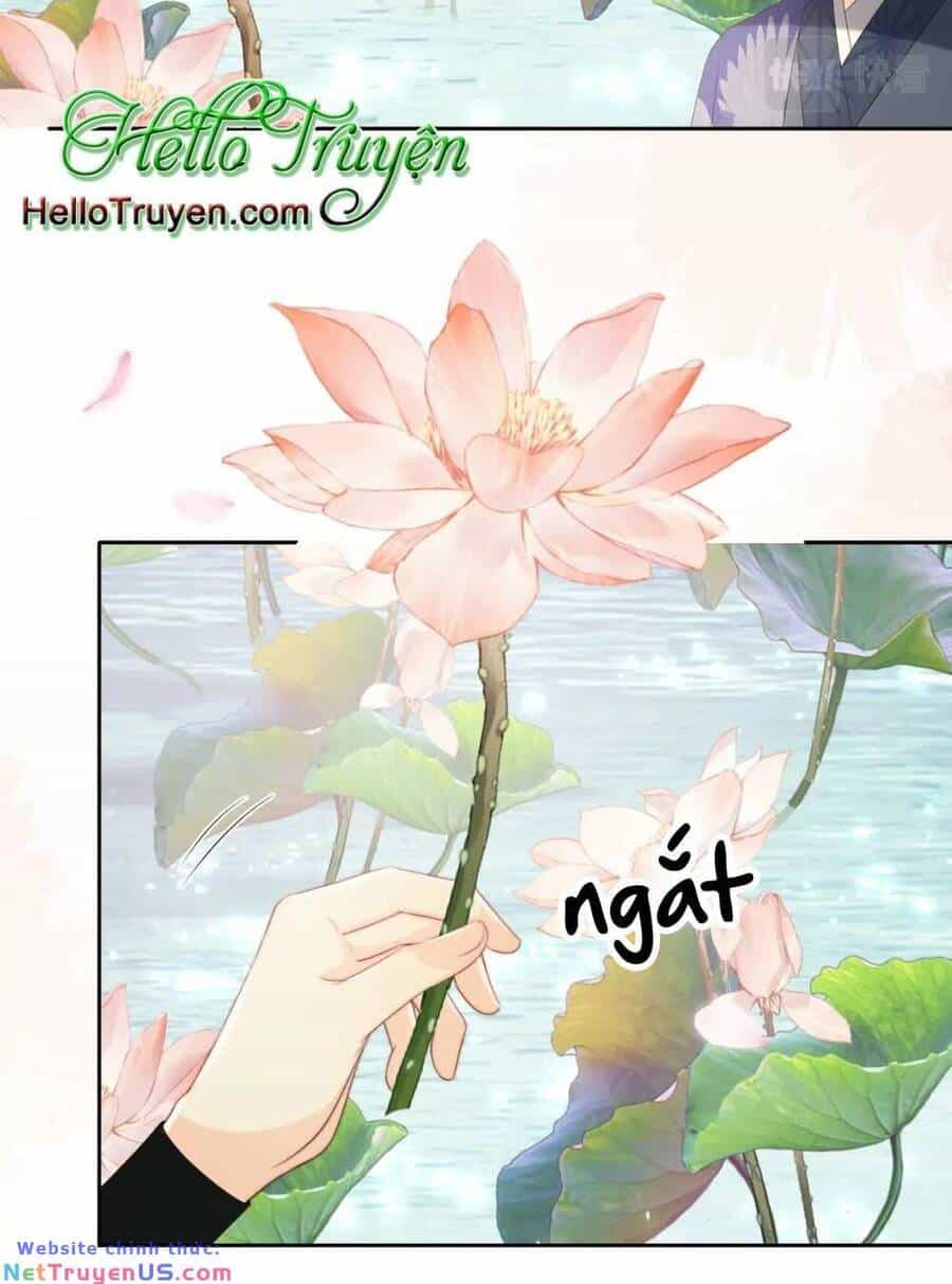 Dưỡng Địch Vi Hoạn - Chương 237 - ảnh 12