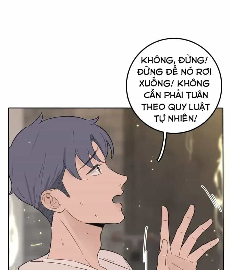 Dương Gian Bách Lý Cẩm - Chương 132 - ảnh 12