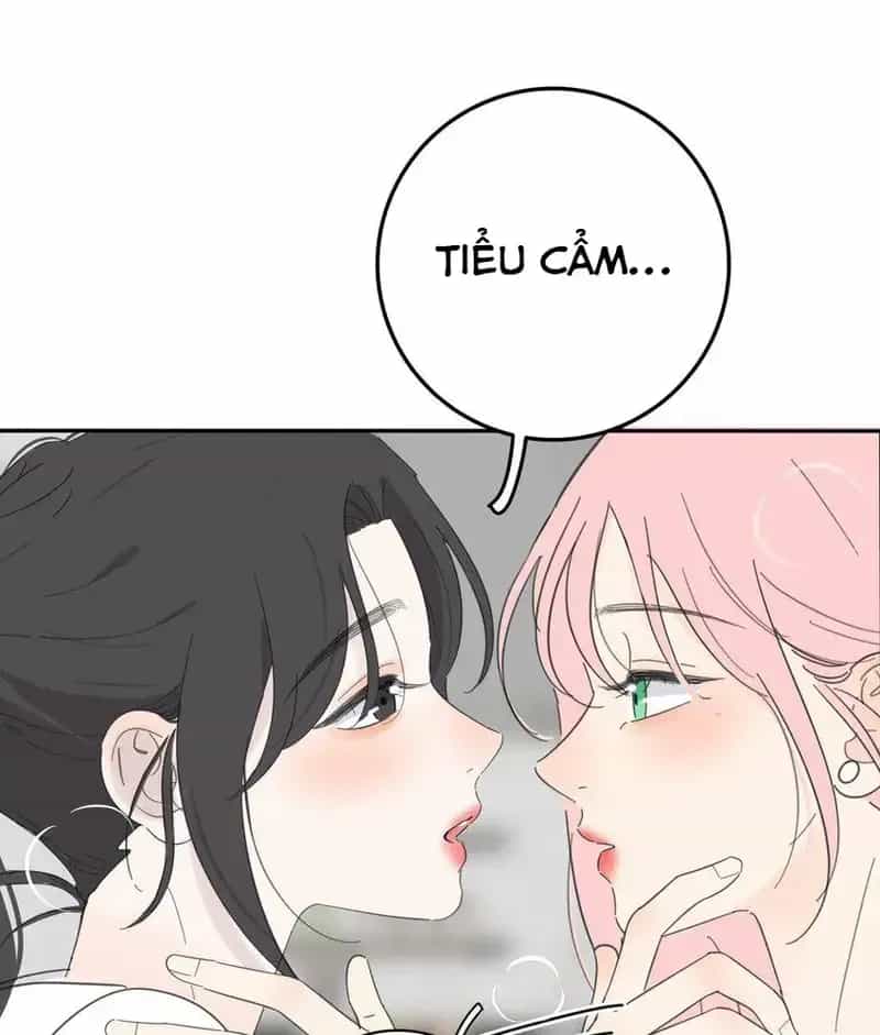 Dương Gian Bách Lý Cẩm - Chương 135 - ảnh 72