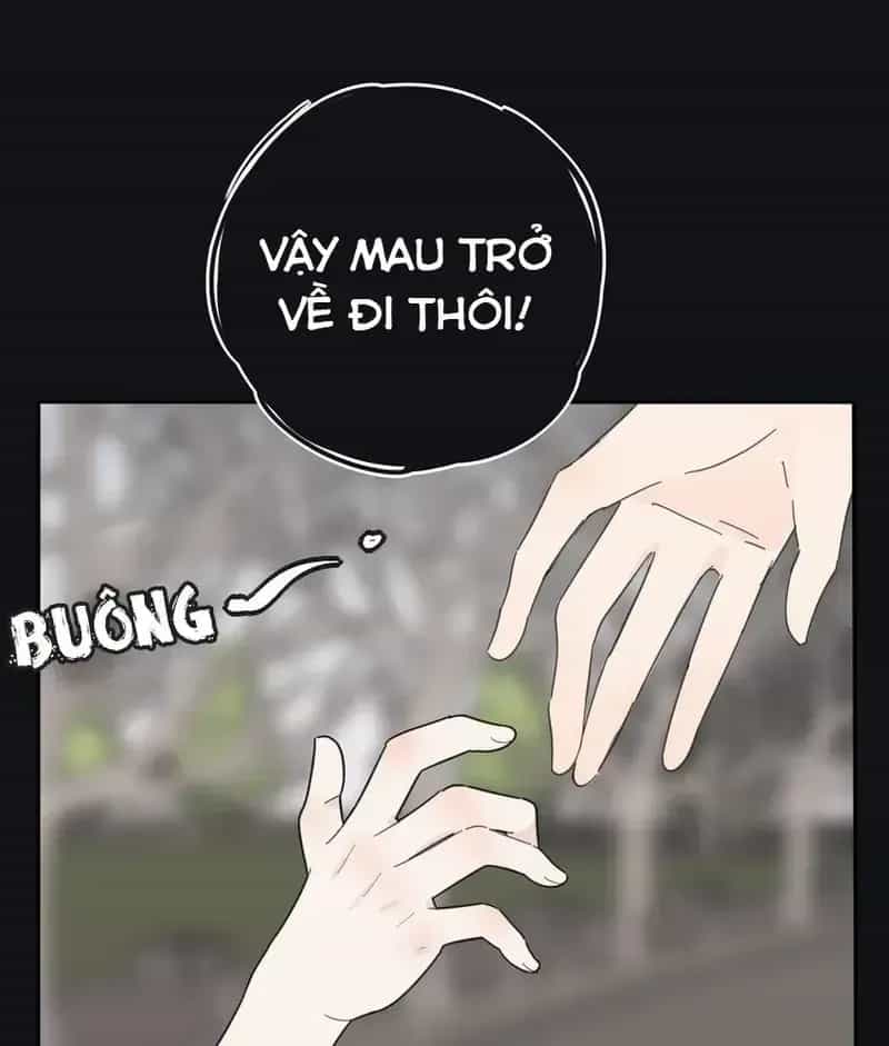 Dương Gian Bách Lý Cẩm - Chương 137 - ảnh 5