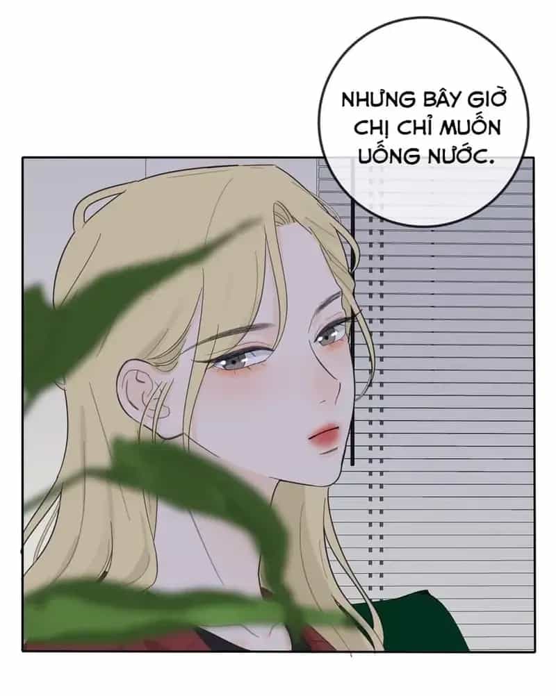 Dương Gian Bách Lý Cẩm - Chương 143 - ảnh 36