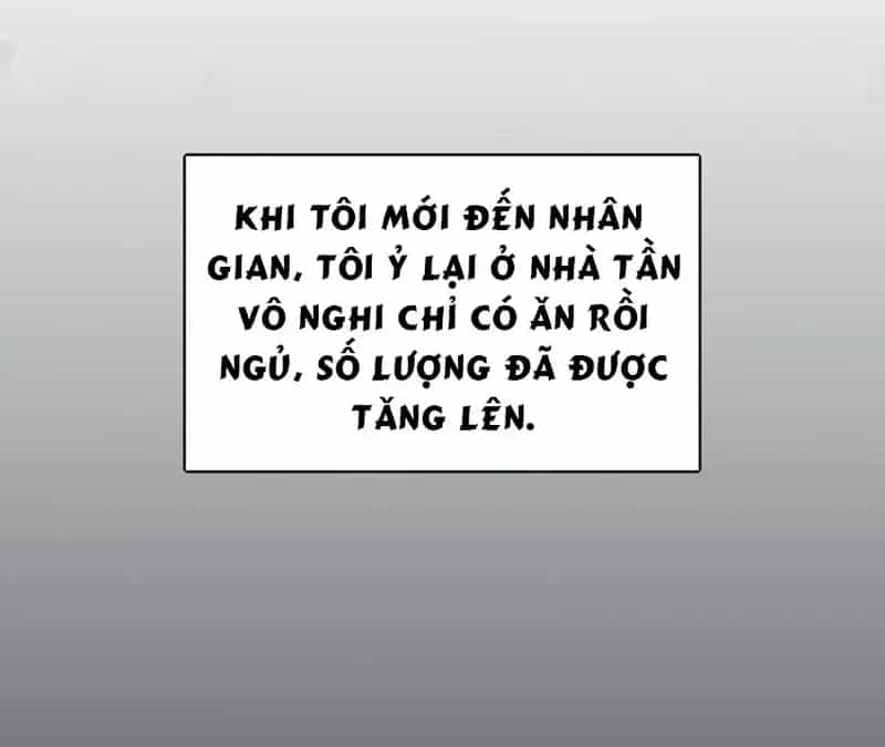 Dương Gian Bách Lý Cẩm - Chương 144 - ảnh 27