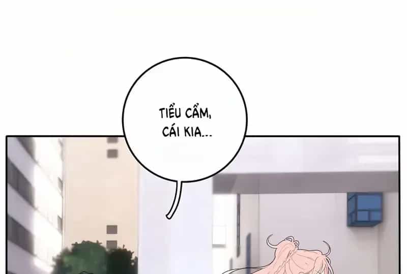 Dương Gian Bách Lý Cẩm - Chương 150 - ảnh 68