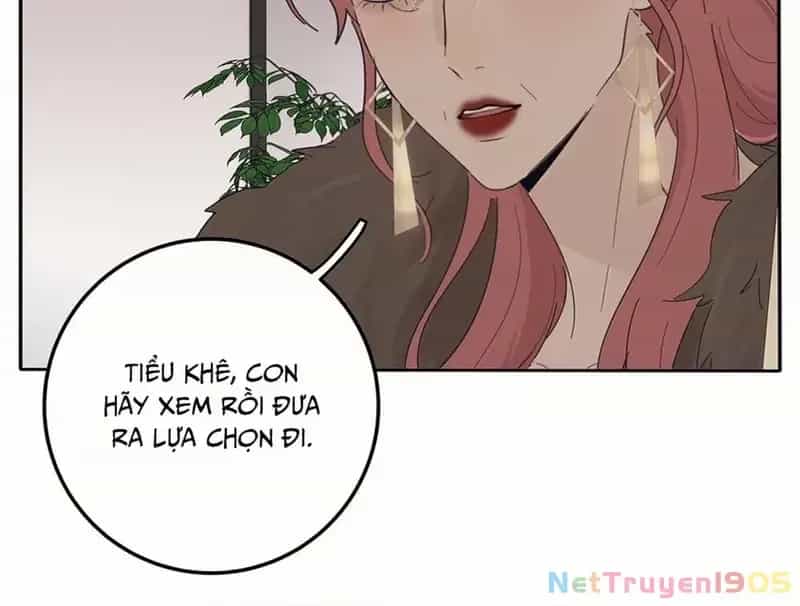 Dương Gian Bách Lý Cẩm - Chương 156 - ảnh 51