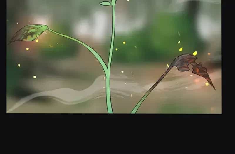 Dương Gian Bách Lý Cẩm - Chương 161 - ảnh 13