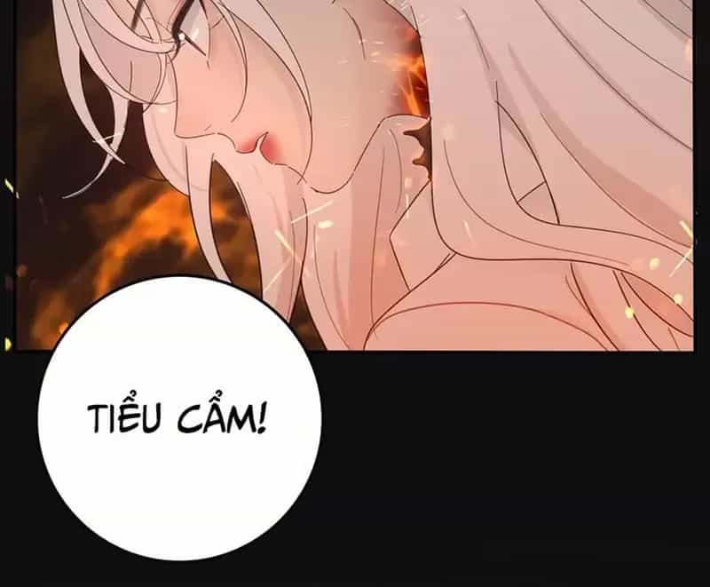 Dương Gian Bách Lý Cẩm - Chương 161 - ảnh 23