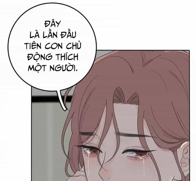 Dương Gian Bách Lý Cẩm - Chương 164 - ảnh 3