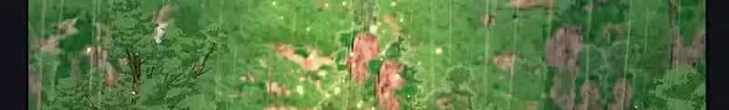 Dương Gian Bách Lý Cẩm - Chương 180 - ảnh 30