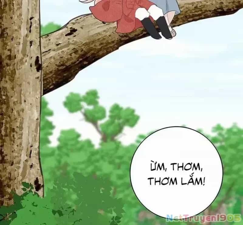 Dương Gian Bách Lý Cẩm - Chương 181 - ảnh 90