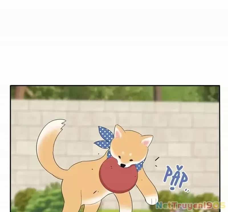Dương Gian Bách Lý Cẩm - Chương 185 - ảnh 51