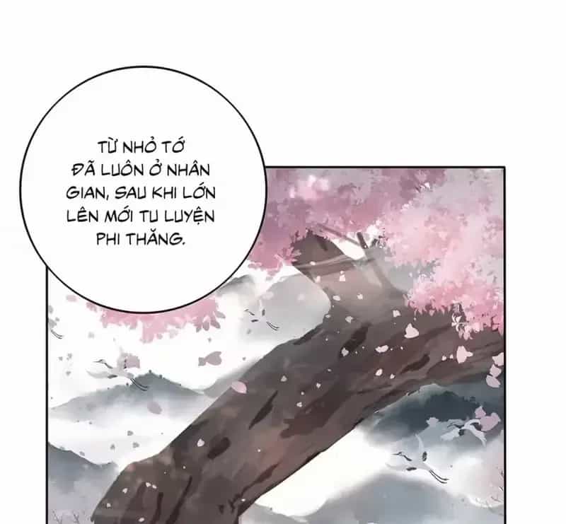 Dương Gian Bách Lý Cẩm - Chương 193 - ảnh 22