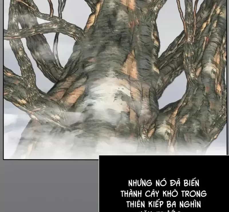 Dương Gian Bách Lý Cẩm - Chương 198 - ảnh 55