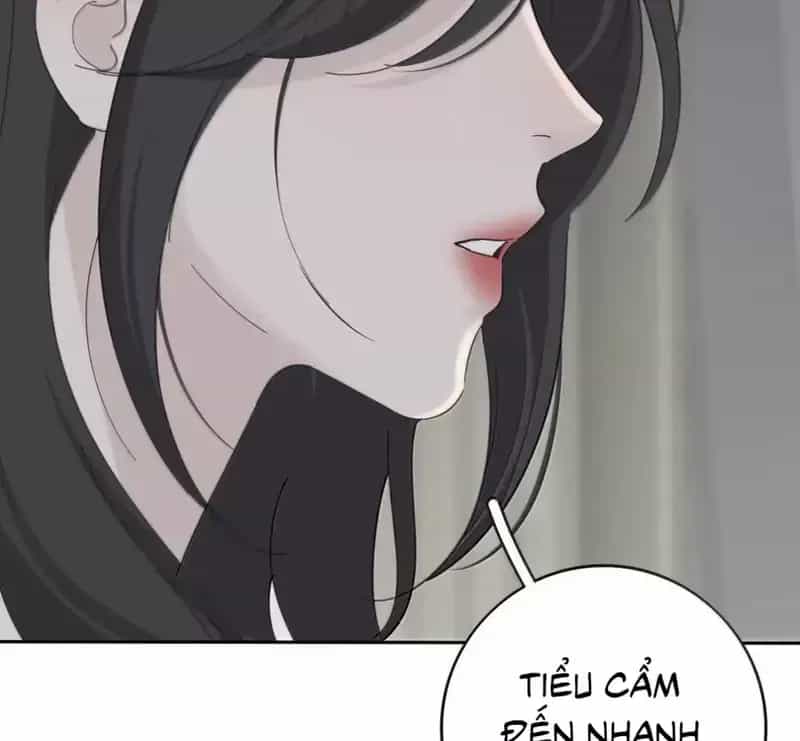 Dương Gian Bách Lý Cẩm - Chương 203 - ảnh 100