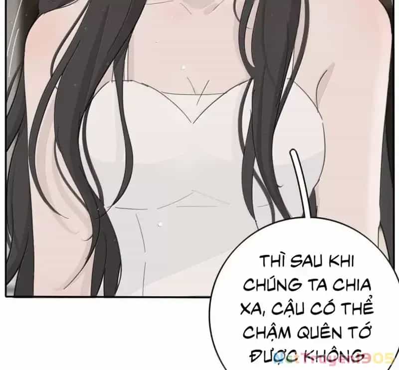 Dương Gian Bách Lý Cẩm - Chương 207 - ảnh 10