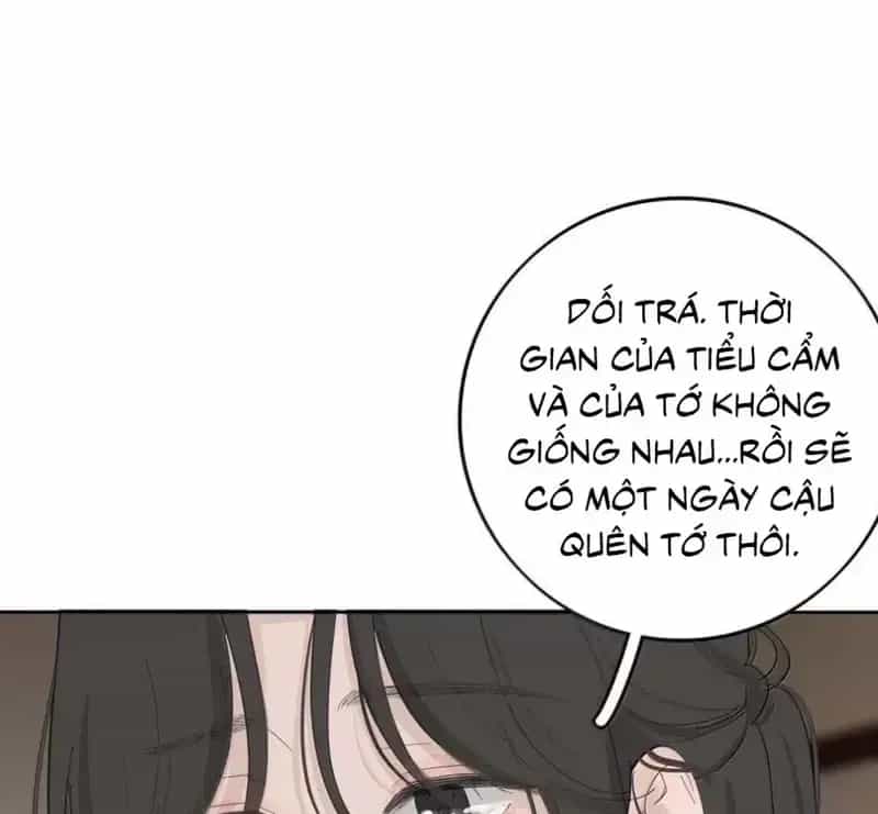 Dương Gian Bách Lý Cẩm - Chương 207 - ảnh 19