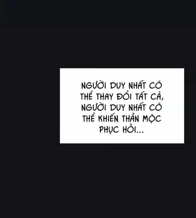 Dương Gian Bách Lý Cẩm - Chương 214 - ảnh 11