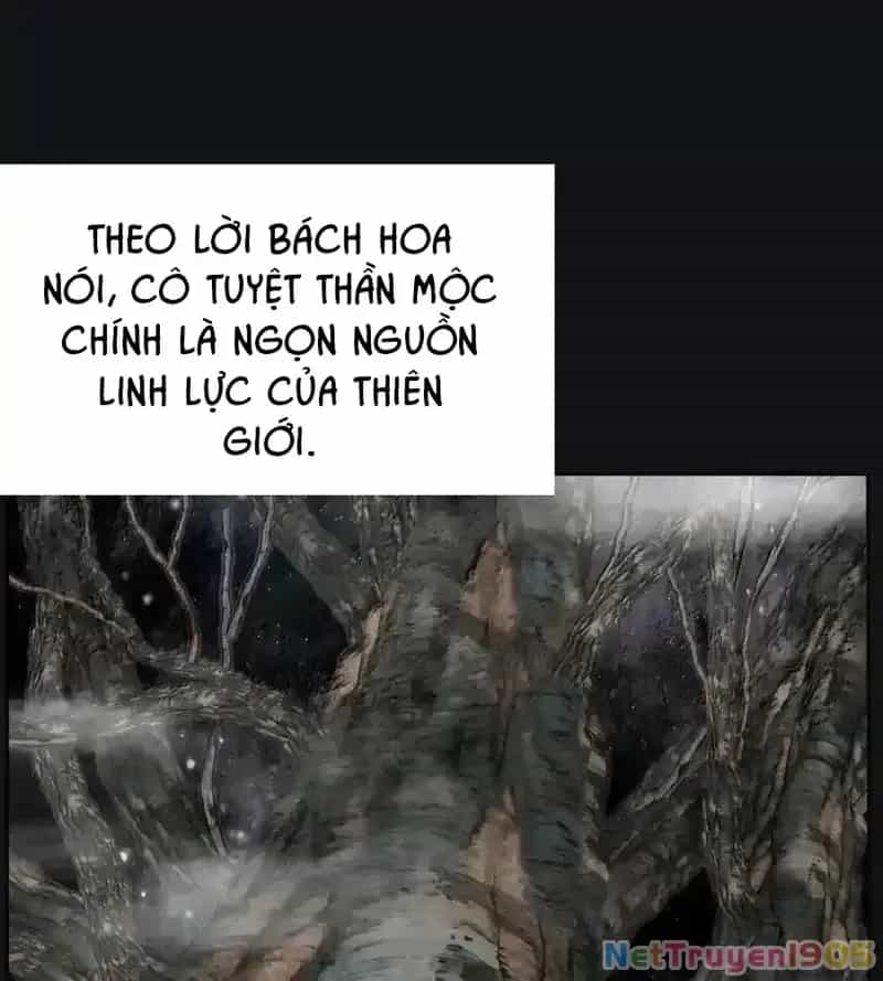 Dương Gian Bách Lý Cẩm - Chương 214 - ảnh 7