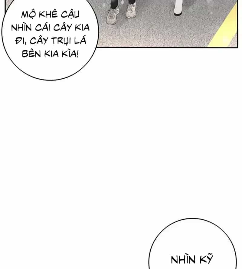 Dương Gian Bách Lý Cẩm - Chương 215 - ảnh 13