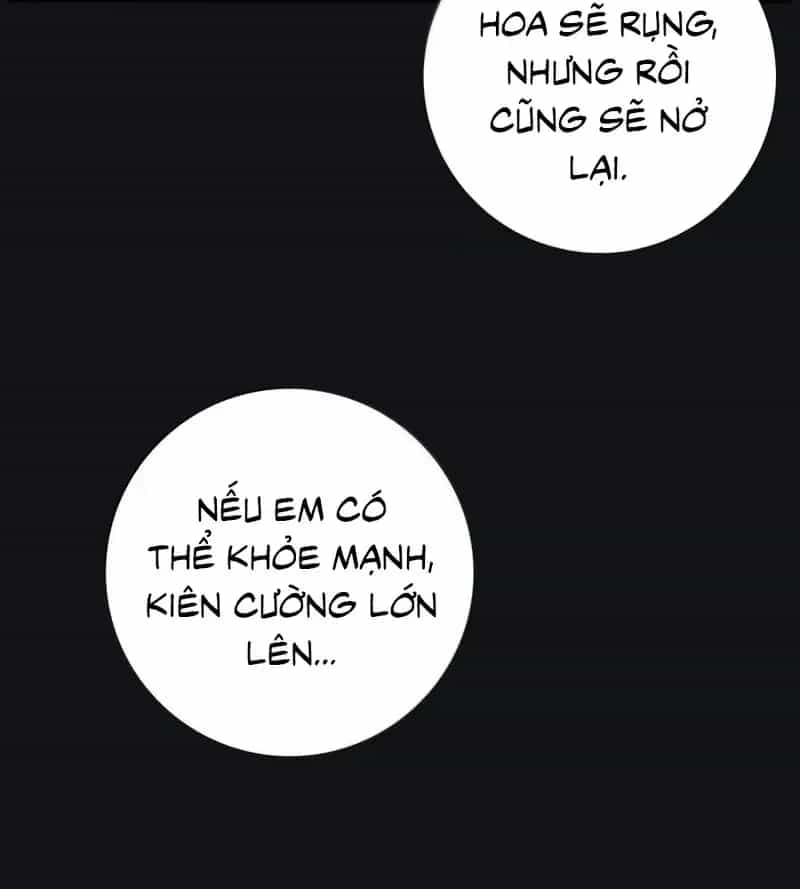 Dương Gian Bách Lý Cẩm - Chương 215 - ảnh 34