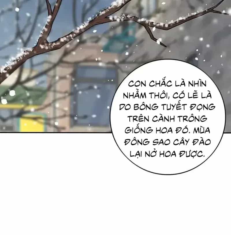 Dương Gian Bách Lý Cẩm - Chương 220 - ảnh 23