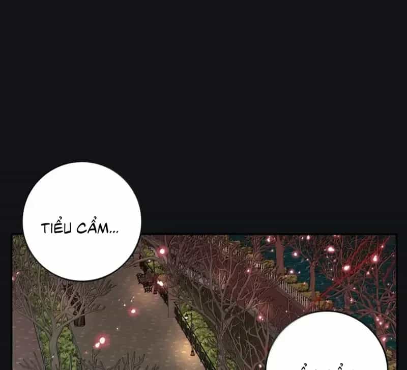 Dương Gian Bách Lý Cẩm - Chương 224 - ảnh 31