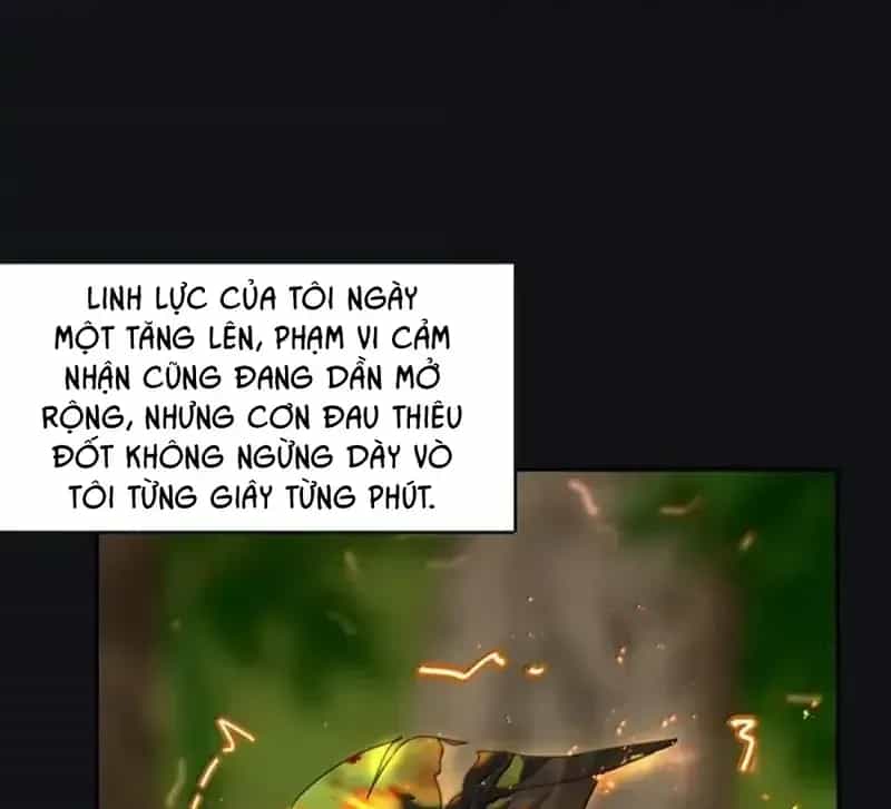 Dương Gian Bách Lý Cẩm - Chương 225 - ảnh 13