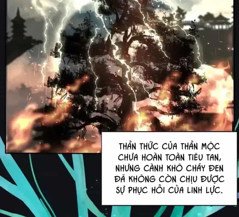 Dương Gian Bách Lý Cẩm - Chương 225 - ảnh 38