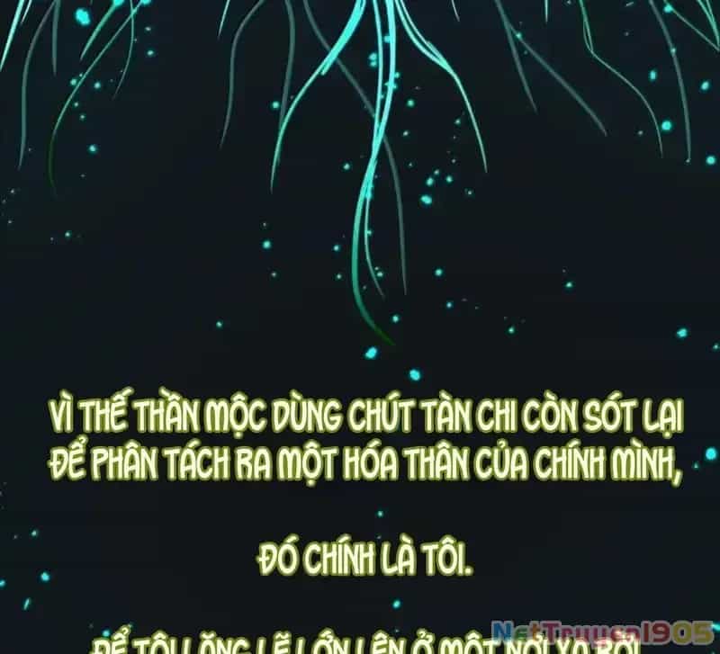 Dương Gian Bách Lý Cẩm - Chương 225 - ảnh 41