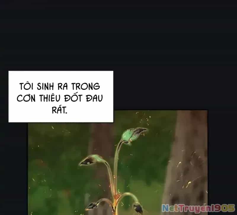 Dương Gian Bách Lý Cẩm - Chương 225 - ảnh 7