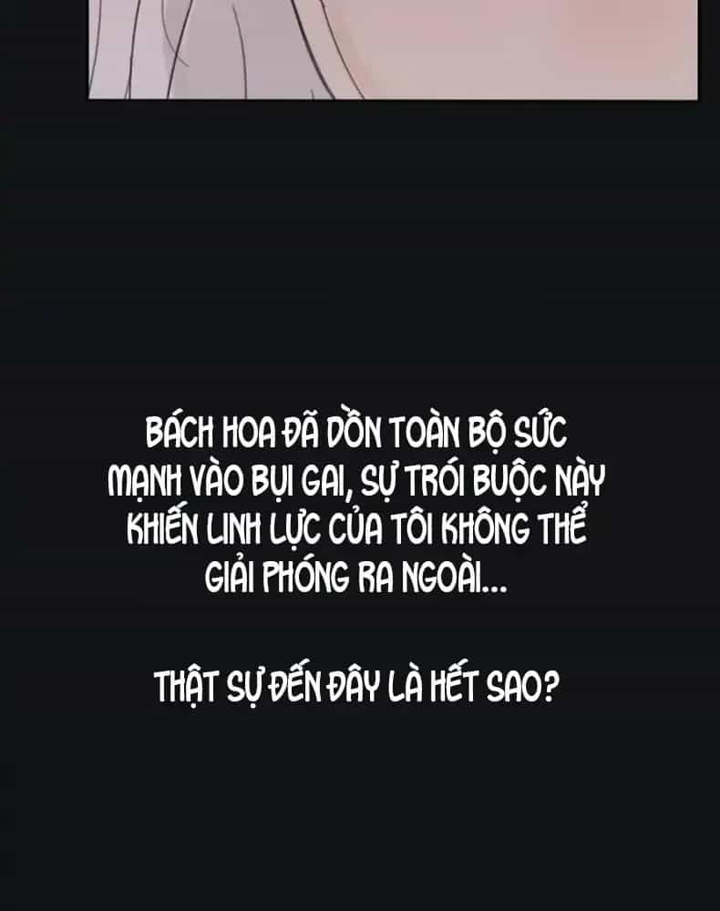 Dương Gian Bách Lý Cẩm - Chương 226 - ảnh 43