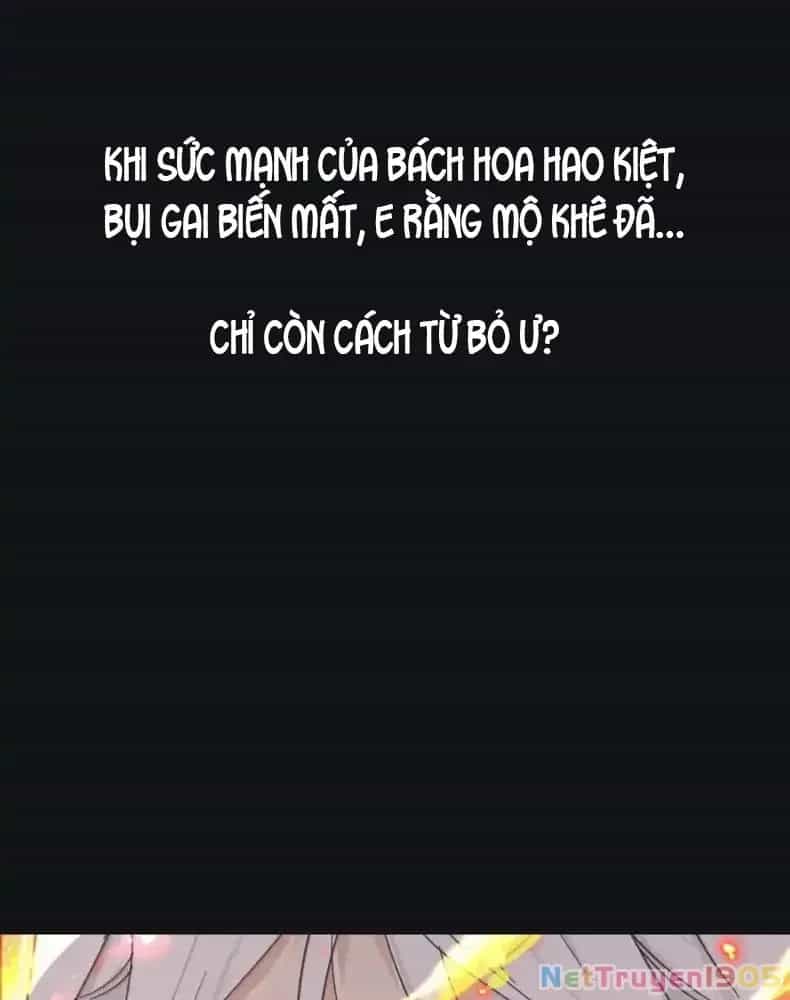 Dương Gian Bách Lý Cẩm - Chương 226 - ảnh 49