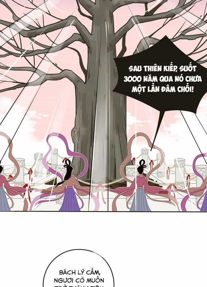 Dương Gian Bách Lý Cẩm - Chương 2 - ảnh 37