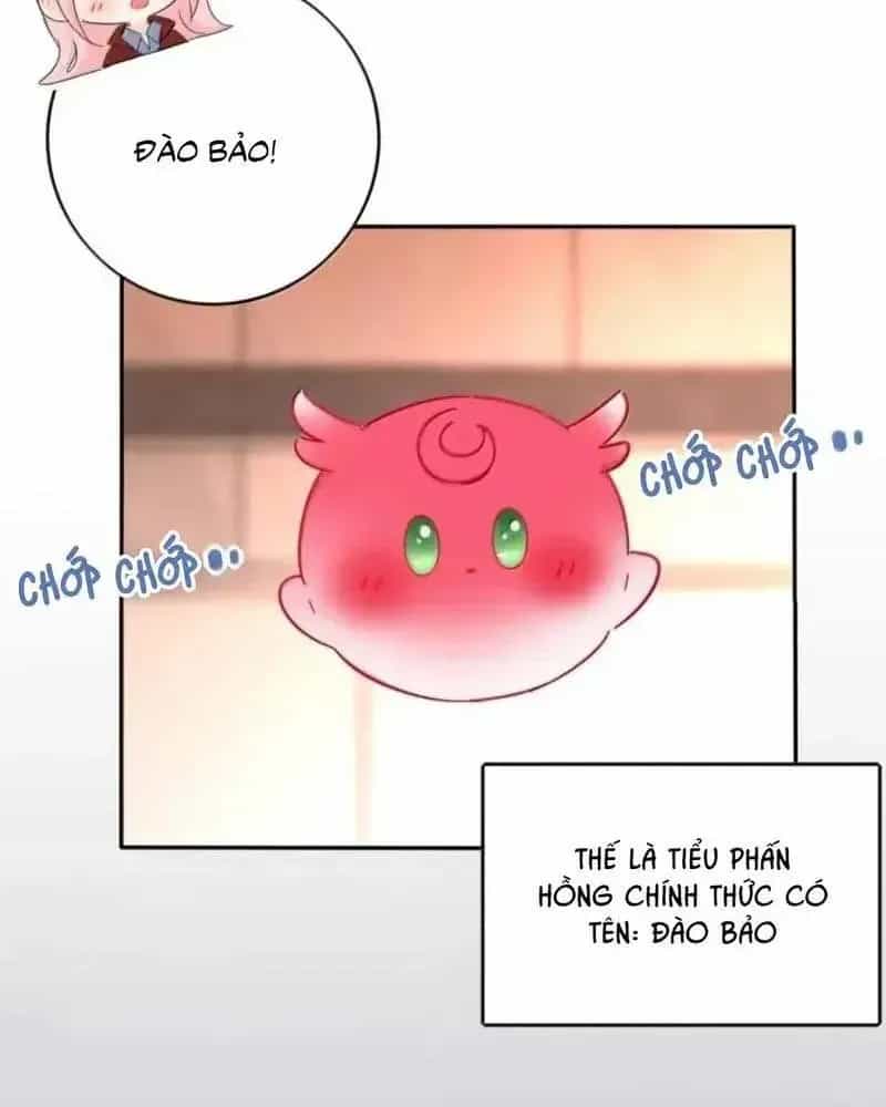 Dương Gian Bách Lý Cẩm - Chương 232 - ảnh 12