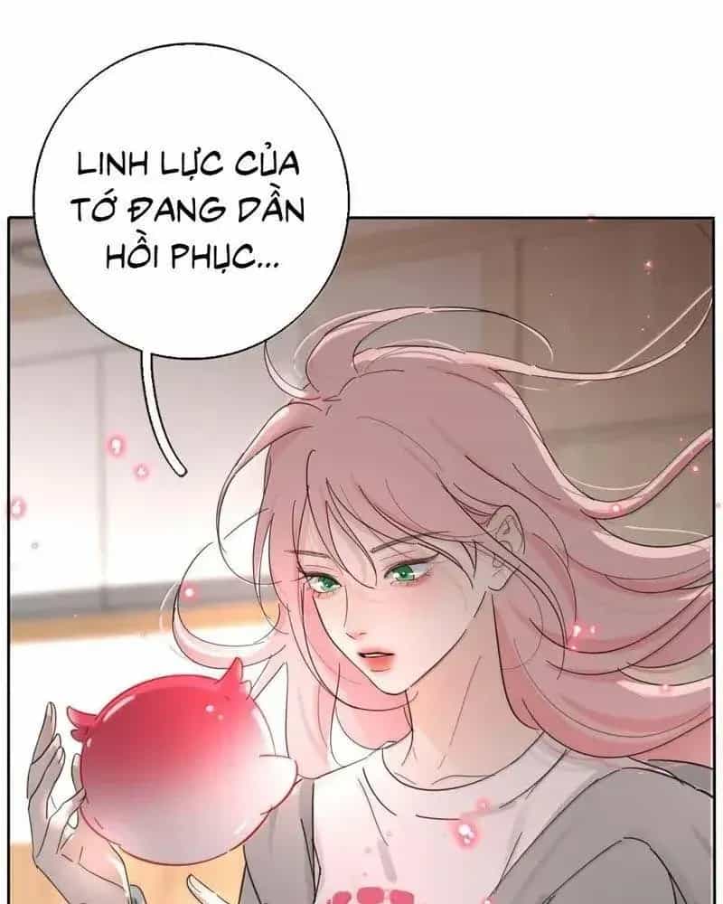 Dương Gian Bách Lý Cẩm - Chương 234 - ảnh 15