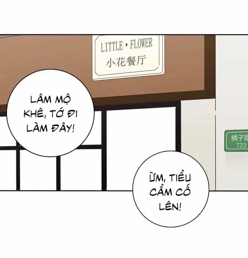 Dương Gian Bách Lý Cẩm - Chương 23 - ảnh 19