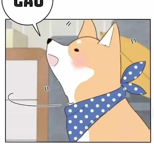 Dương Gian Bách Lý Cẩm - Chương 73 - ảnh 5
