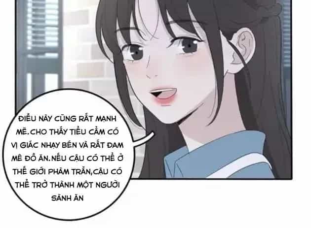 Dương Gian Bách Lý Cẩm - Chương 75 - ảnh 21