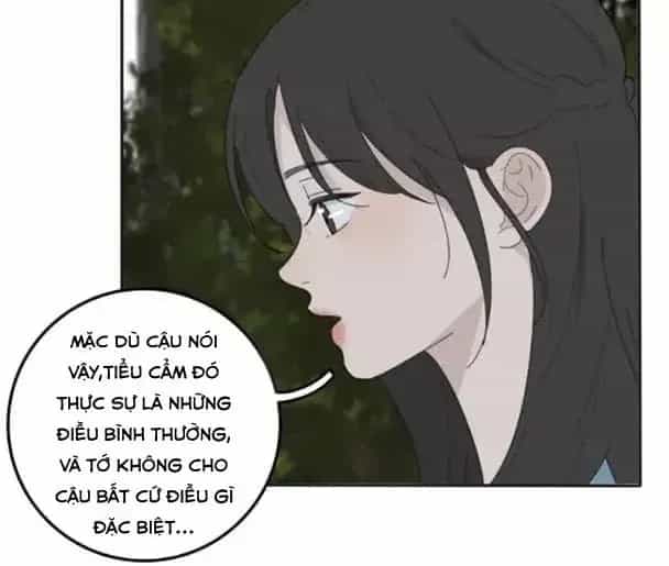 Dương Gian Bách Lý Cẩm - Chương 78 - ảnh 11
