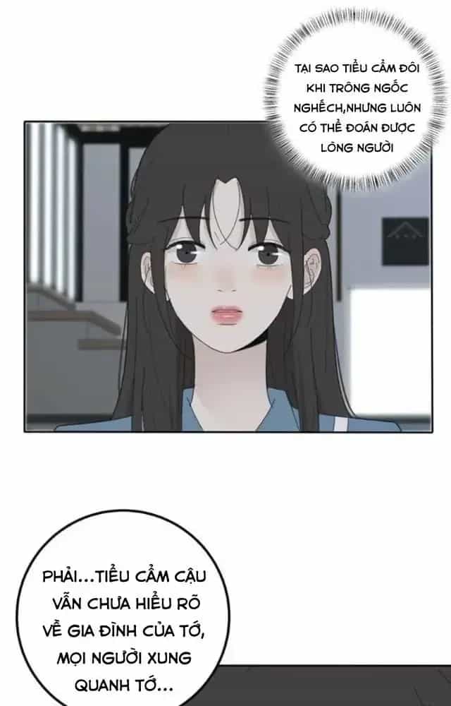 Dương Gian Bách Lý Cẩm - Chương 78 - ảnh 14