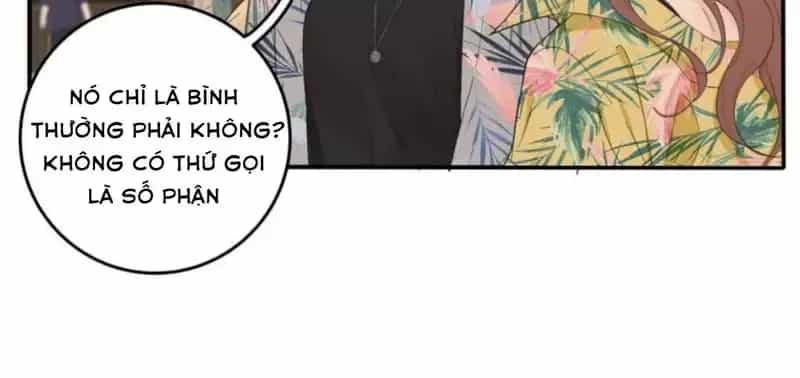 Dương Gian Bách Lý Cẩm - Chương 98 - ảnh 3