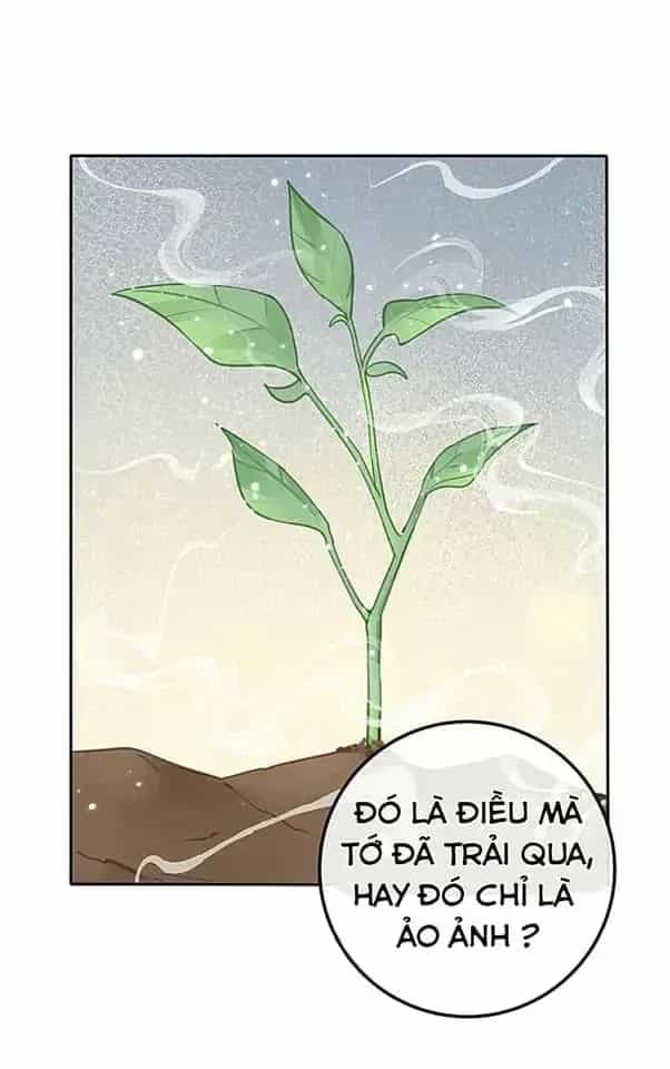 Dương Gian Bách Lý Cẩm - Chương 111 - ảnh 10