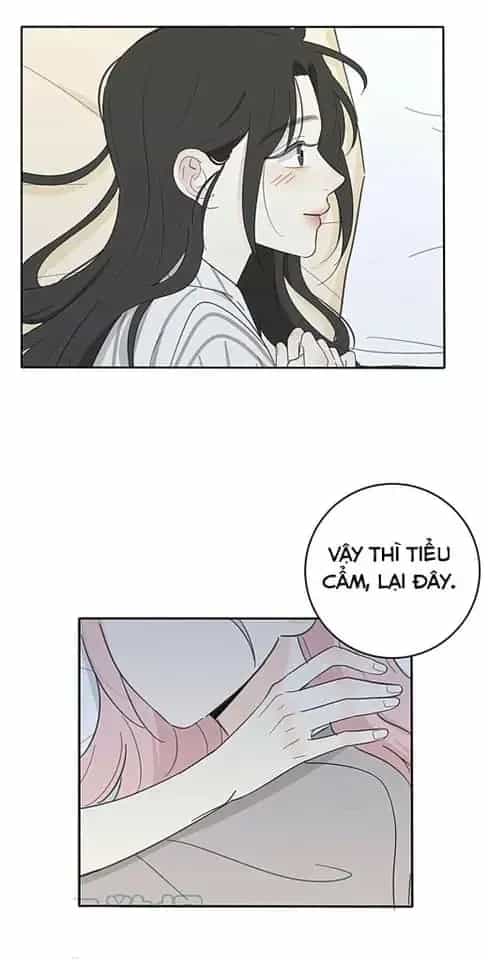 Dương Gian Bách Lý Cẩm - Chương 118 - ảnh 11