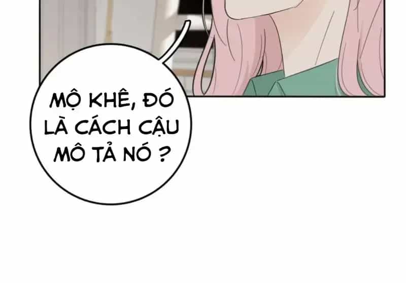 Dương Gian Bách Lý Cẩm - Chương 120 - ảnh 12