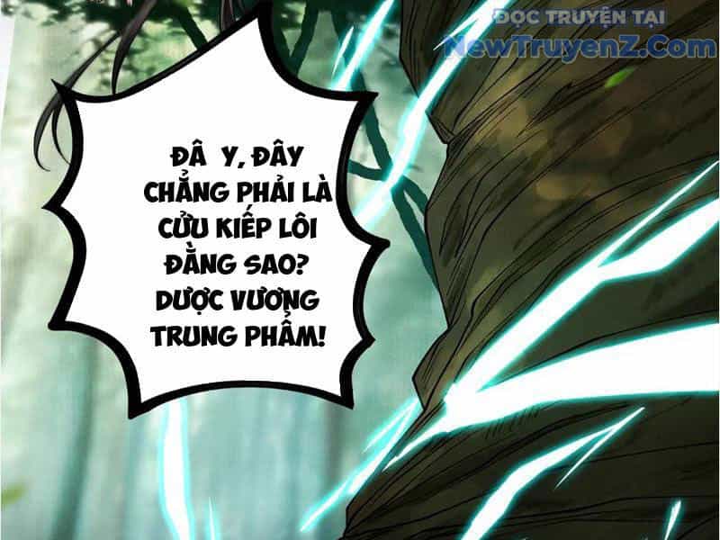 Gặp Mạnh Thì Càng Mạnh, Tu Vi Của Ta Không Giới Hạn - Chương 45 - ảnh 101