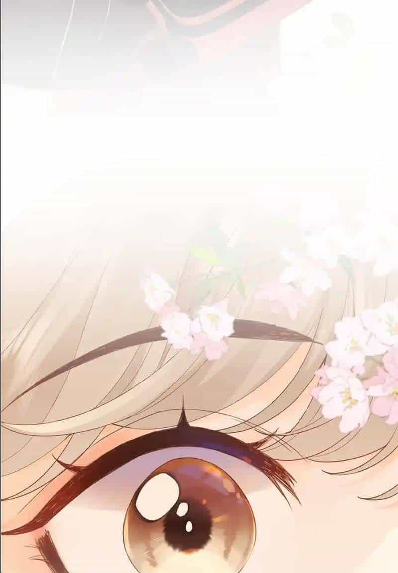 Gấp Vầng Trăng - Chương 1 - ảnh 29
