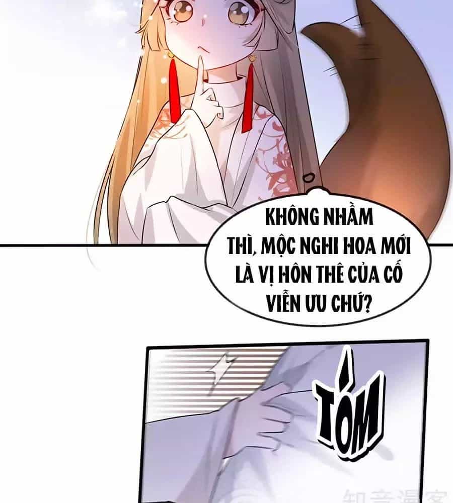 Gian Phi Như Thử Đa Kiều - Chương 28 - ảnh 56