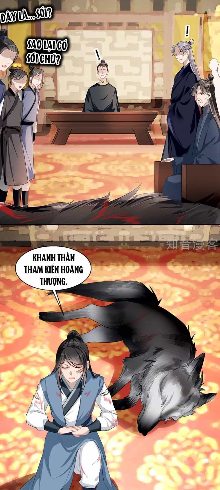 Gian Phi Như Thử Đa Kiều - Chương 36 - ảnh 49